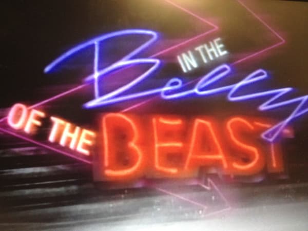 Title card for In the Belly of the Beast, Sarah Wallace’s Eyewitness News series.